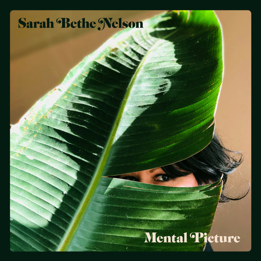 "Mental Picture" by Sarah Bethe Nelson - First Pressing Black Vinyl